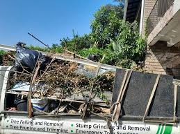 Trusted Stapleton, AL Junk Removal Services Experts